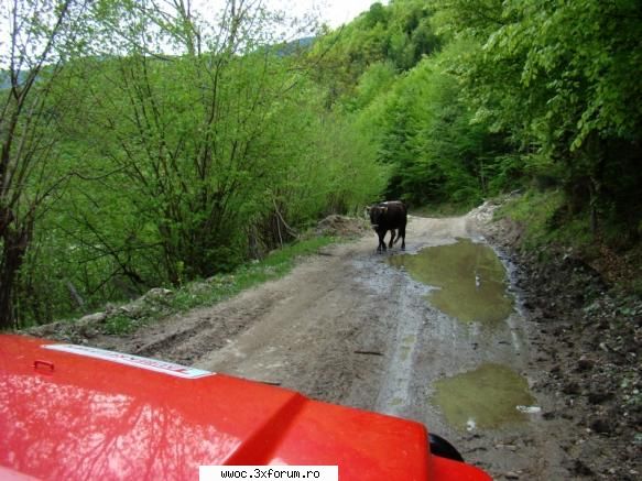 Offroad sau plimbare?!? - sau chiar :D :D :D - Intalniri la sfarsit de saptamana