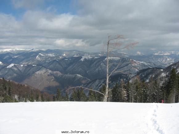 iesire in golul alpin,cota 1800 ----perpedes... - Vedere spre Fagaras din - Intalniri la sfarsit de saptamana