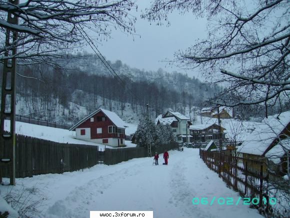 iesire la gratar-locatie Cheia - uite si aici..iarna pe ulita la cheia - Secretele lui Bachus