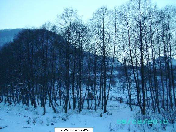 iesire la gratar-locatie Cheia - toate bune si frumoase - Secretele lui Bachus