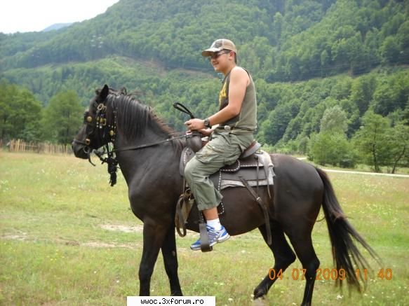 si ....alte pasiuni... - Stati asa....ca nu ma dau nici eu batut - Hobby