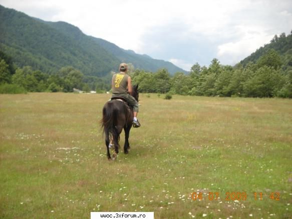 si ....alte pasiuni... - Inca una ....si stop..calu`...!!! - Hobby
